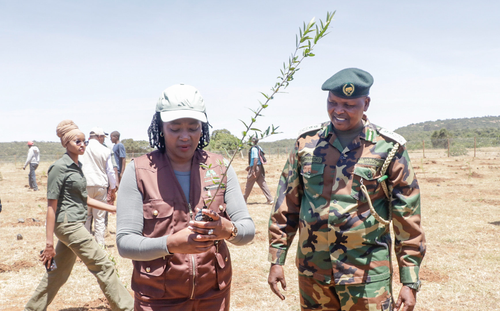 photo gallery